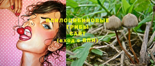 амф Абинск
