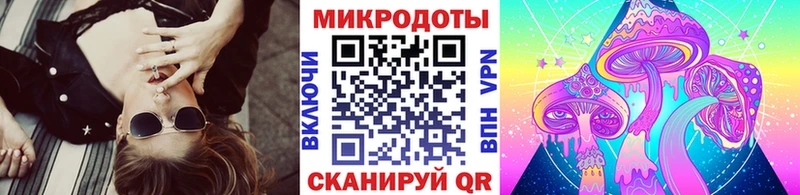 наркота  Ленинградская  Галлюциногенные грибы MAGIC MUSHROOMS 