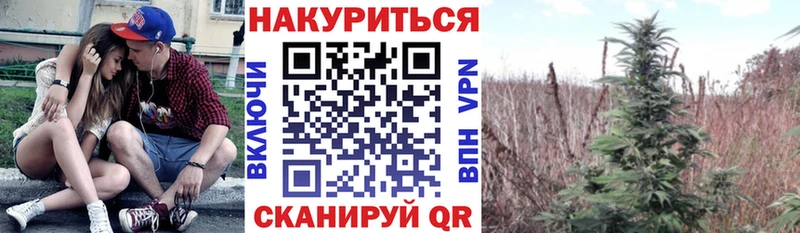 гидра зеркало Ленинградская Шишки марихуана AK-47